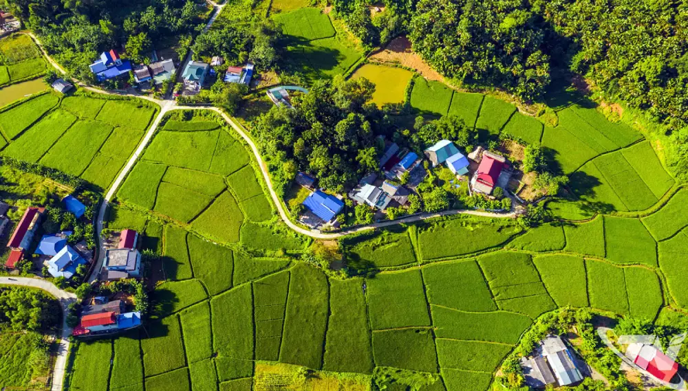 Chính sách phúc lợi